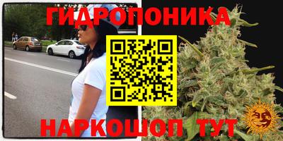 МДПВ Заводоуковск