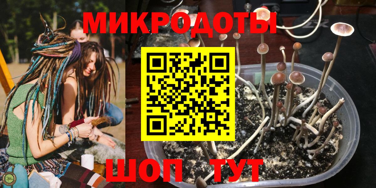 Муром  Псилоцибиновые грибы MAGIC MUSHROOMS  Вход с VPN  Псилоцибиновые грибы Magic Shrooms 