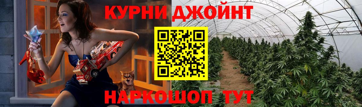 Бошки марихуана OG Kush Муром